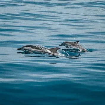 La Paz, Baja California Sur