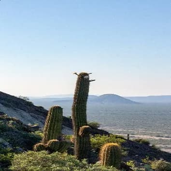 La Paz, Baja California Sur