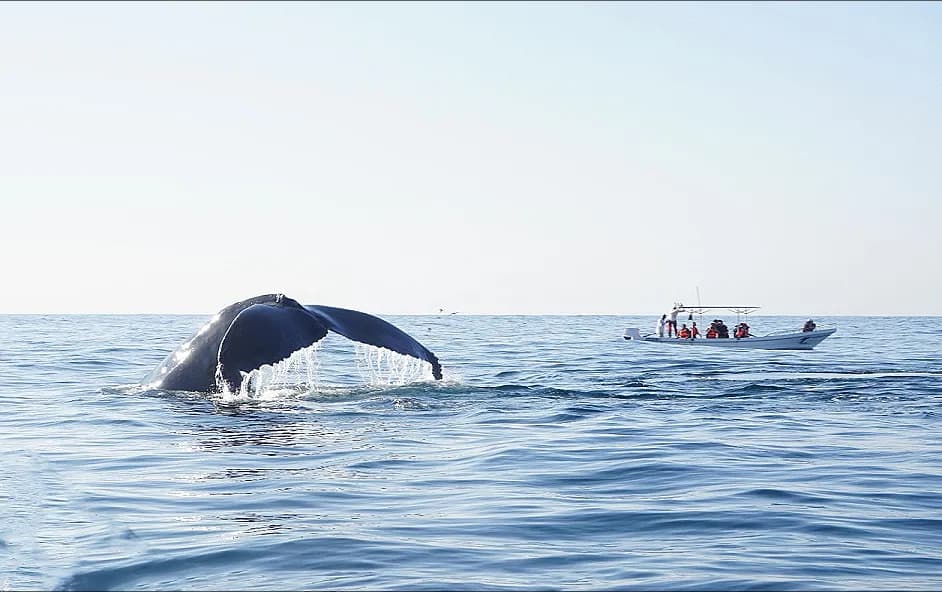 La Paz, Baja California Sur