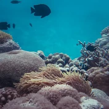 Cabo San Lucas, Baja California Sur